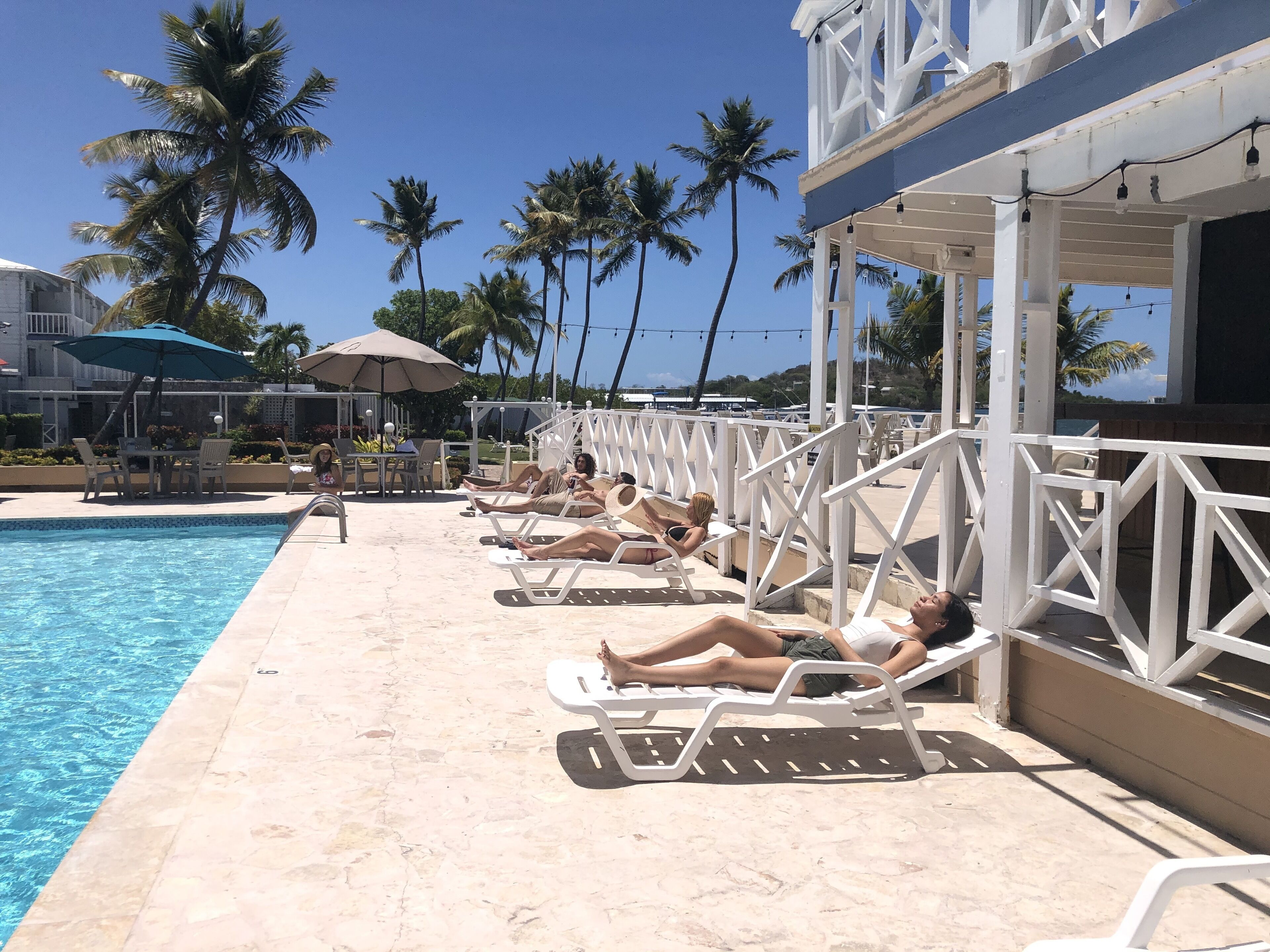 A poolside area with lounge chairs and umbrellas, palm trees, and a clear blue sky.
