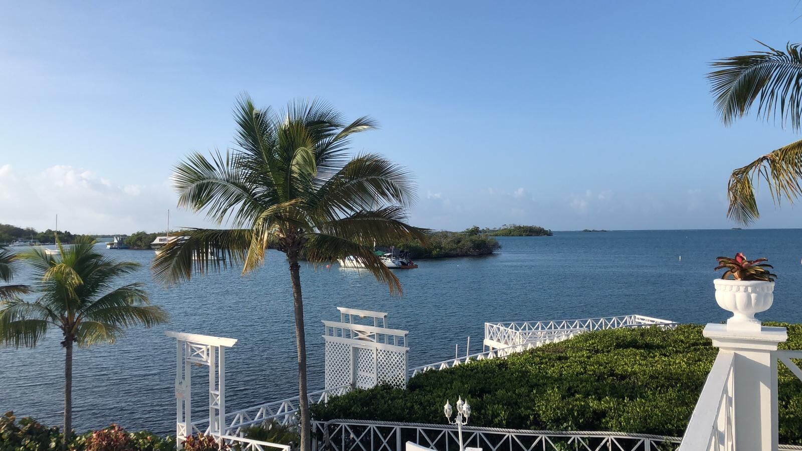 A coastal view with a clear sky, palm trees, and a white fence overlooking the water.