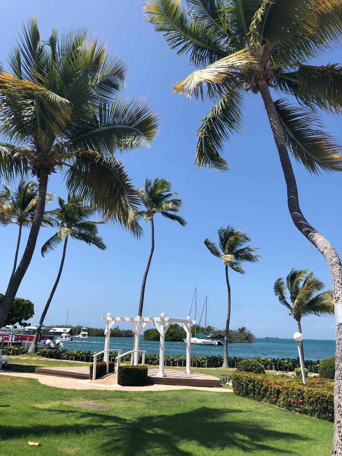 outdoor wedding area