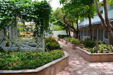 Parador Villa Parguera - Image 28