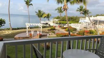 A balcony with a view of a landscaped area, palm trees, and a body of water.