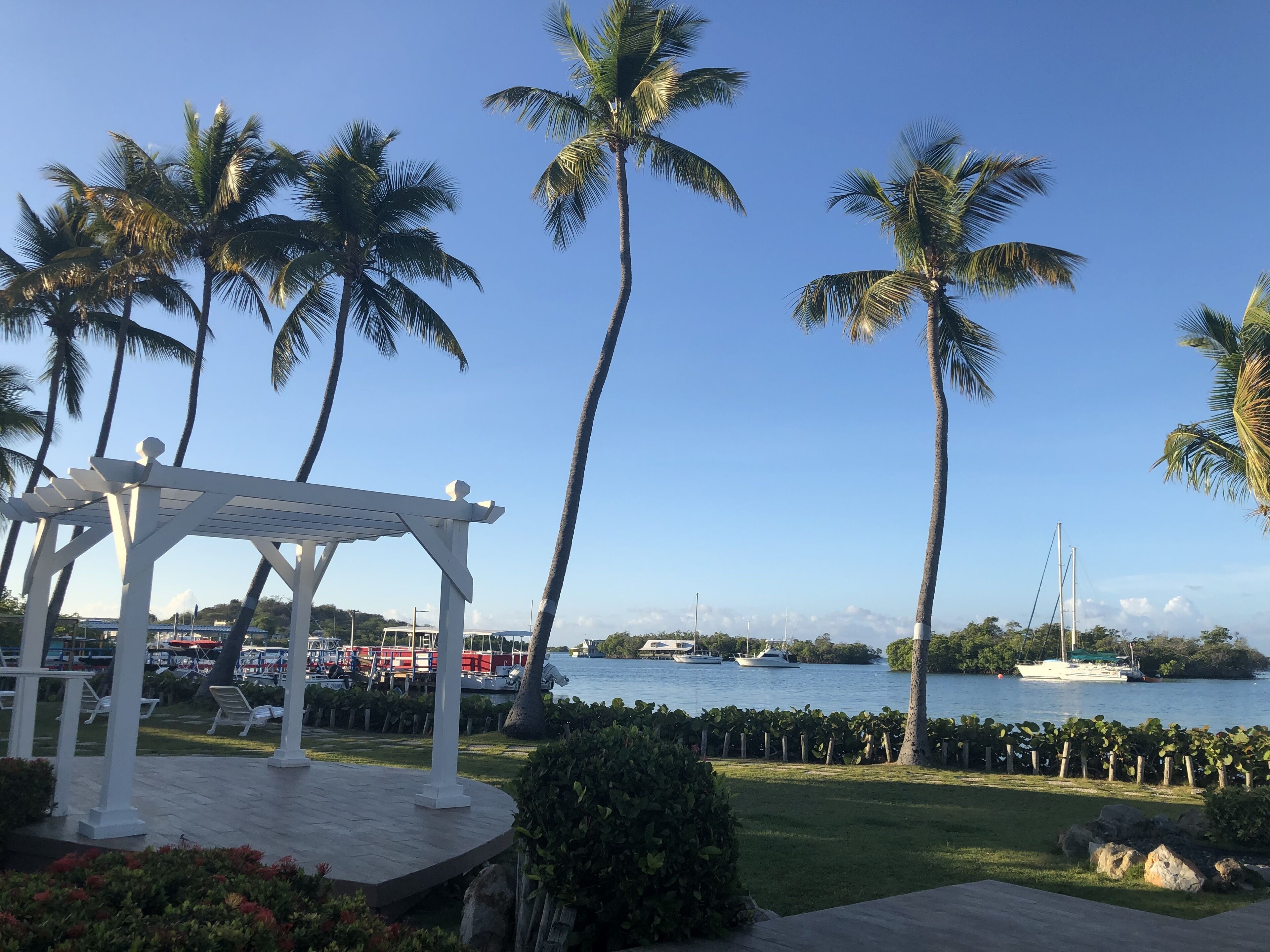 A covered outdoor area with a pergola, palm trees, and a view of a marina with boats.