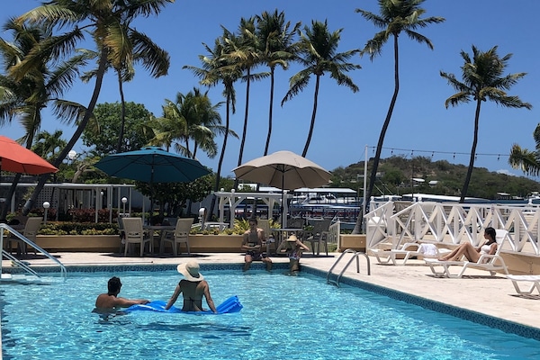 Alberca al aire libre, sombrillas en la alberca y camastros