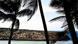 Una playa con agua turquesa cristalina, palmeras y acantilados rocosos al fondo.