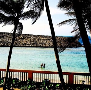 On the beach, sun-loungers, beach umbrellas, beach towels