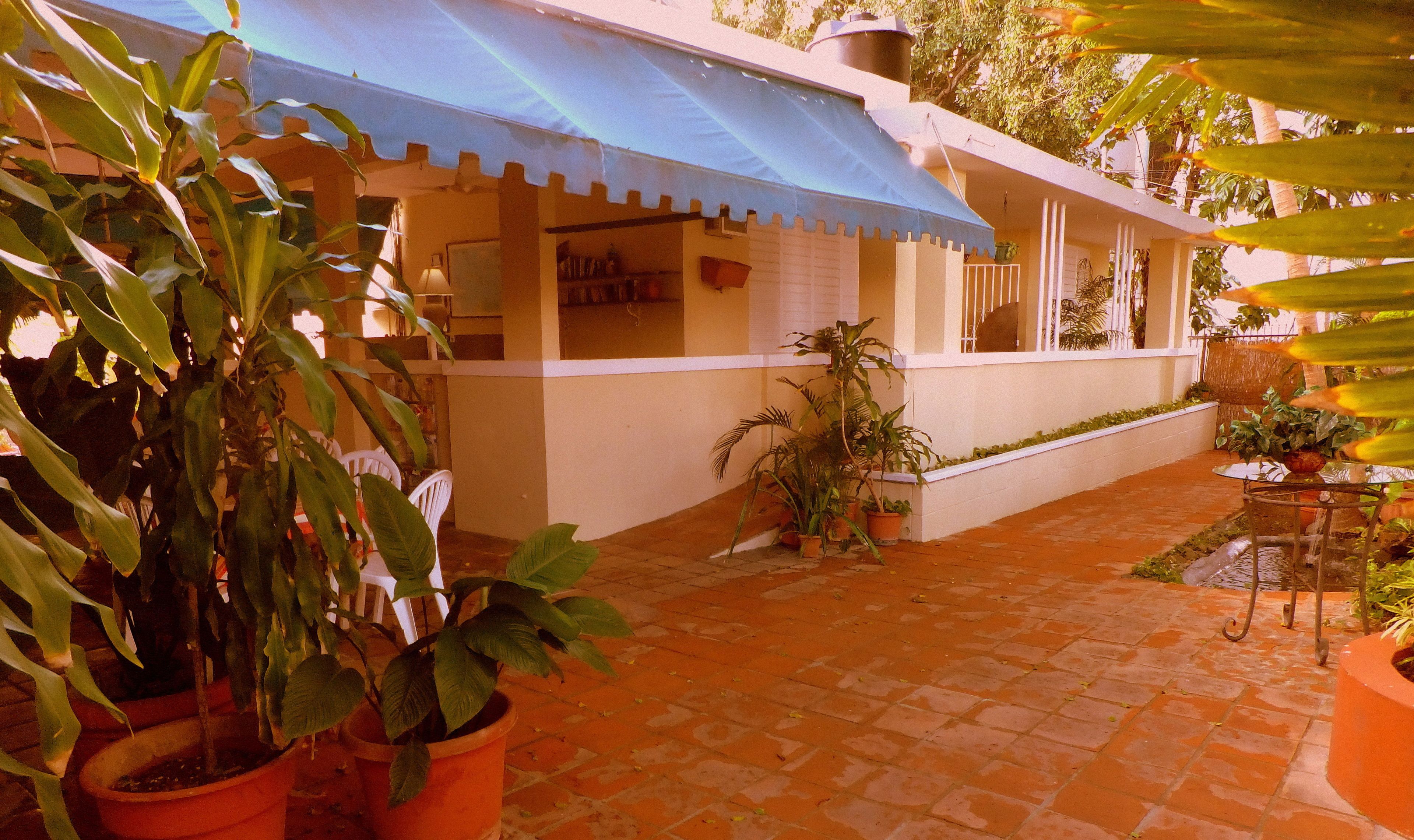 A courtyard with potted plants, a blue awning, and a white building with a window.