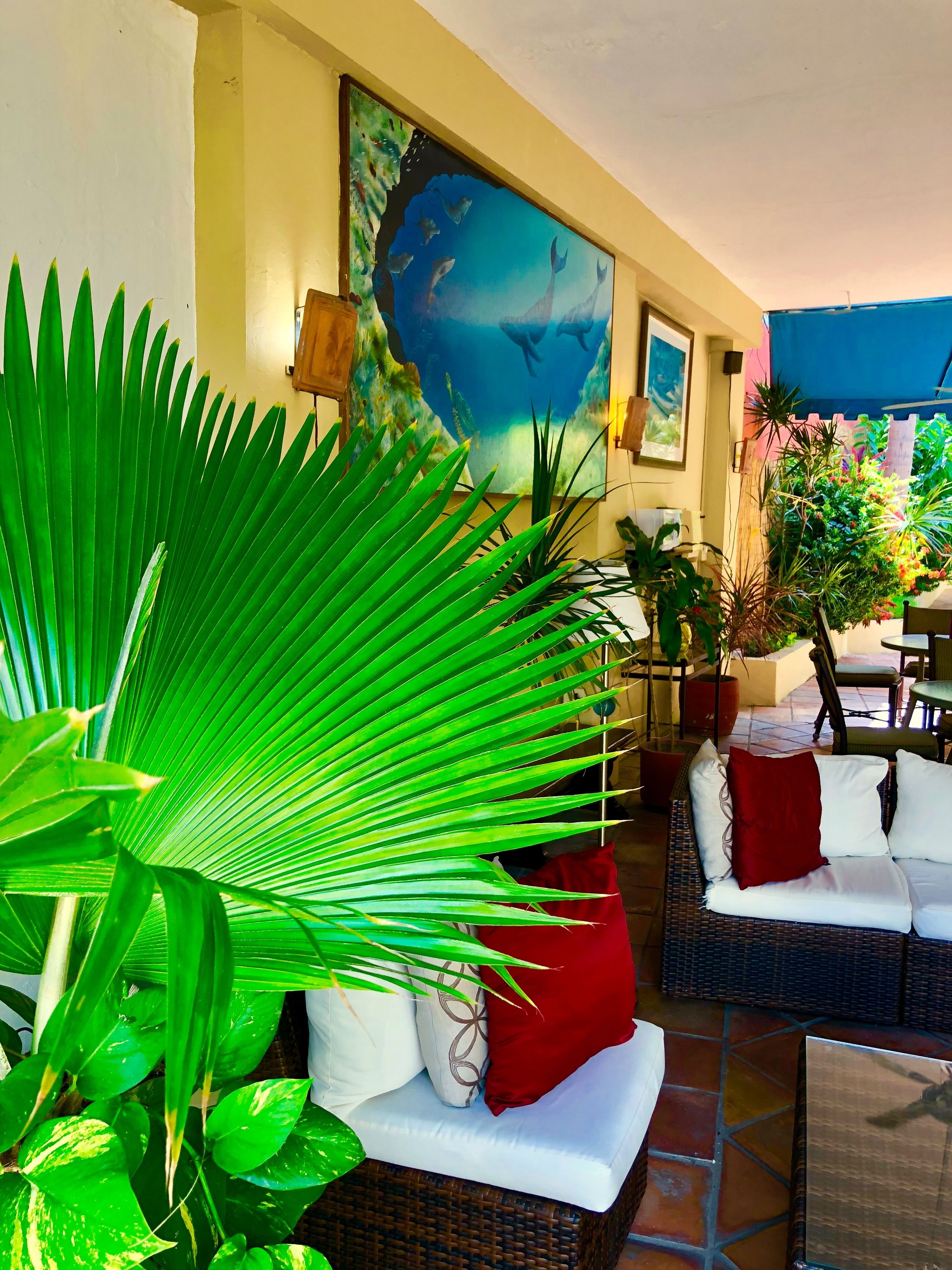 Beach nearby, white sand