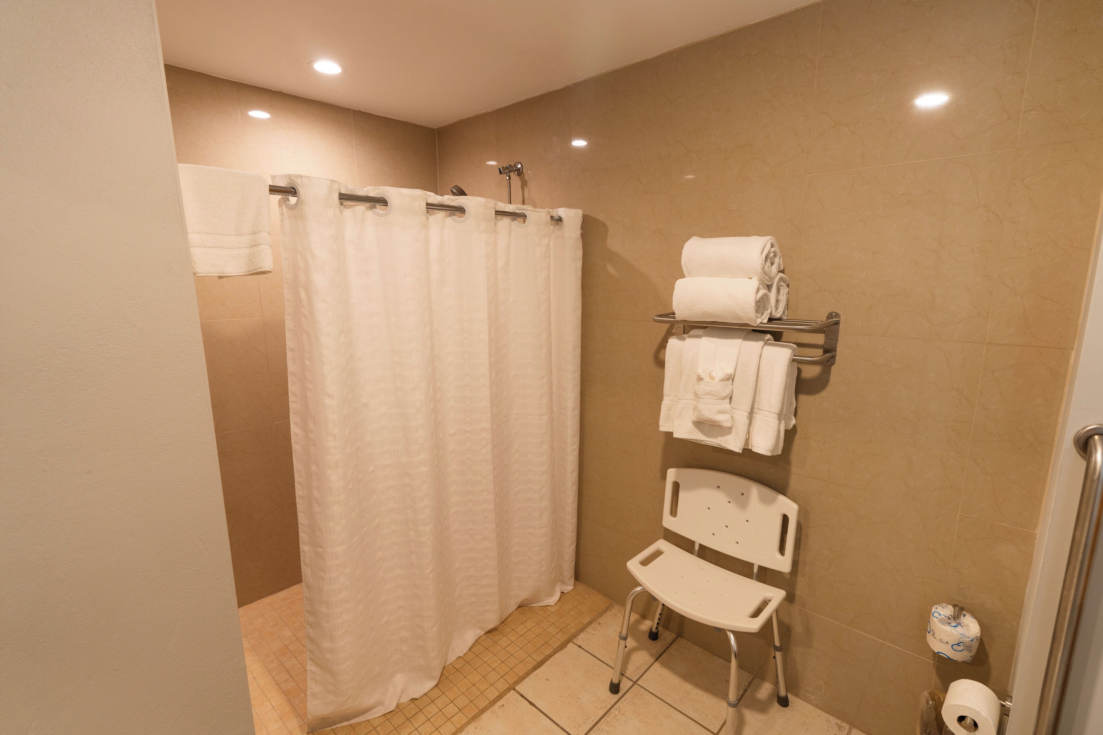 A bathroom with a shower, a toilet, and a wheelchair-accessible chair.