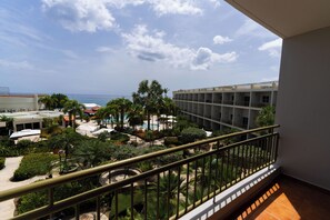 Deluxe Single Room | Terrace/patio