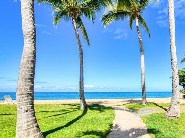 A pathway leading to a beach with palm trees and a clear blue sky.