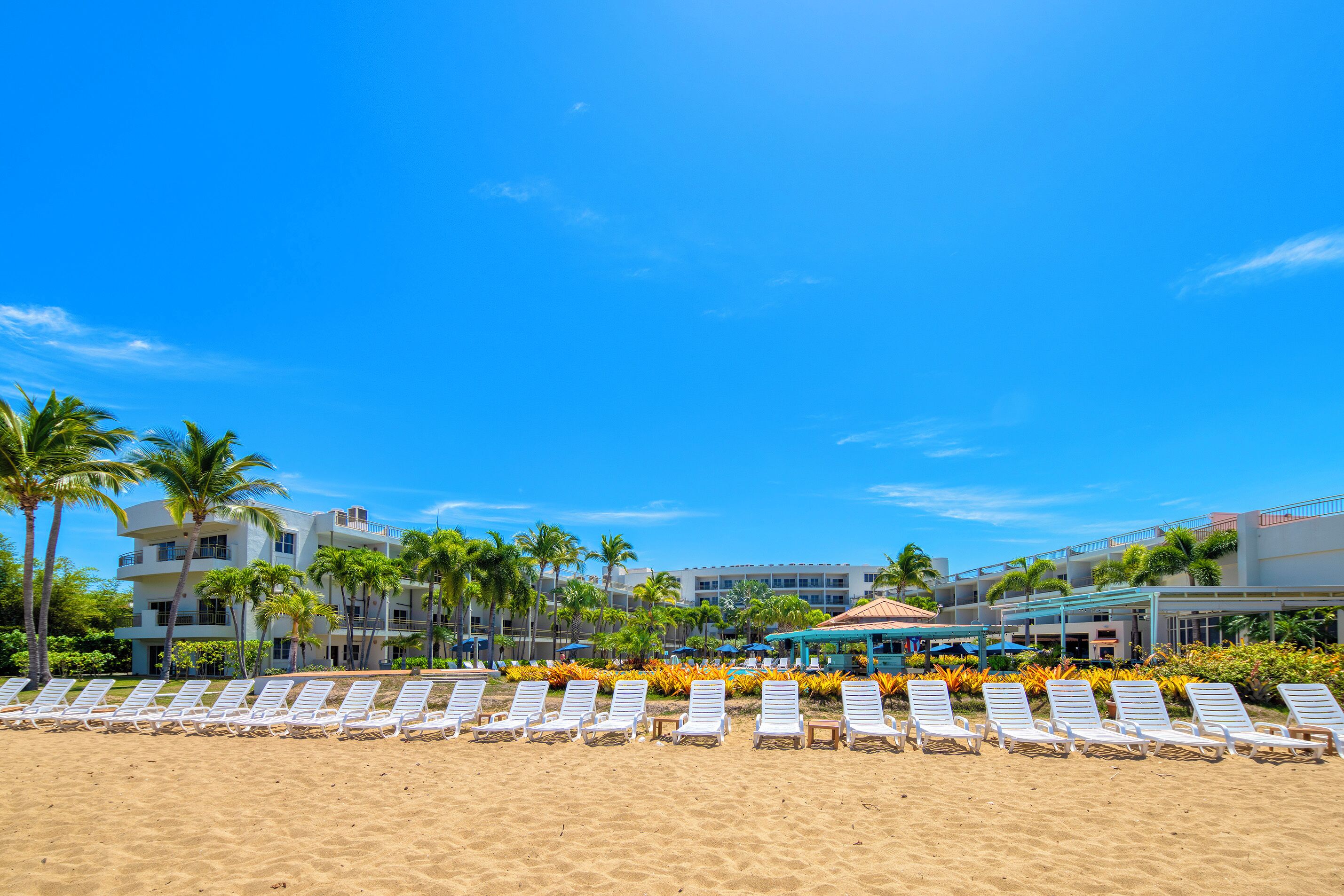 A beach with rows of white lounge chairs and a building with multiple balconies and palm trees in the background.
