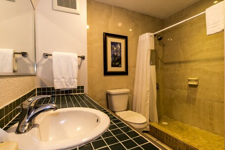 Rincon of the Seas Grand Caribbean Hotel - Image 77