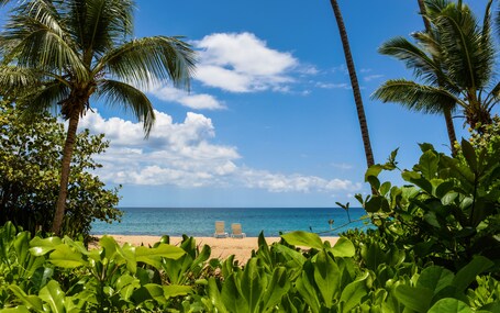 Rincon of the Seas Grand Caribbean Hotel - Image 41