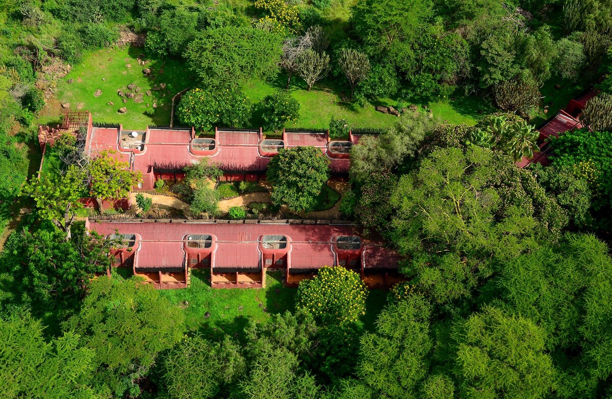 Amboseli Serena Safari Lodge – hotel photo