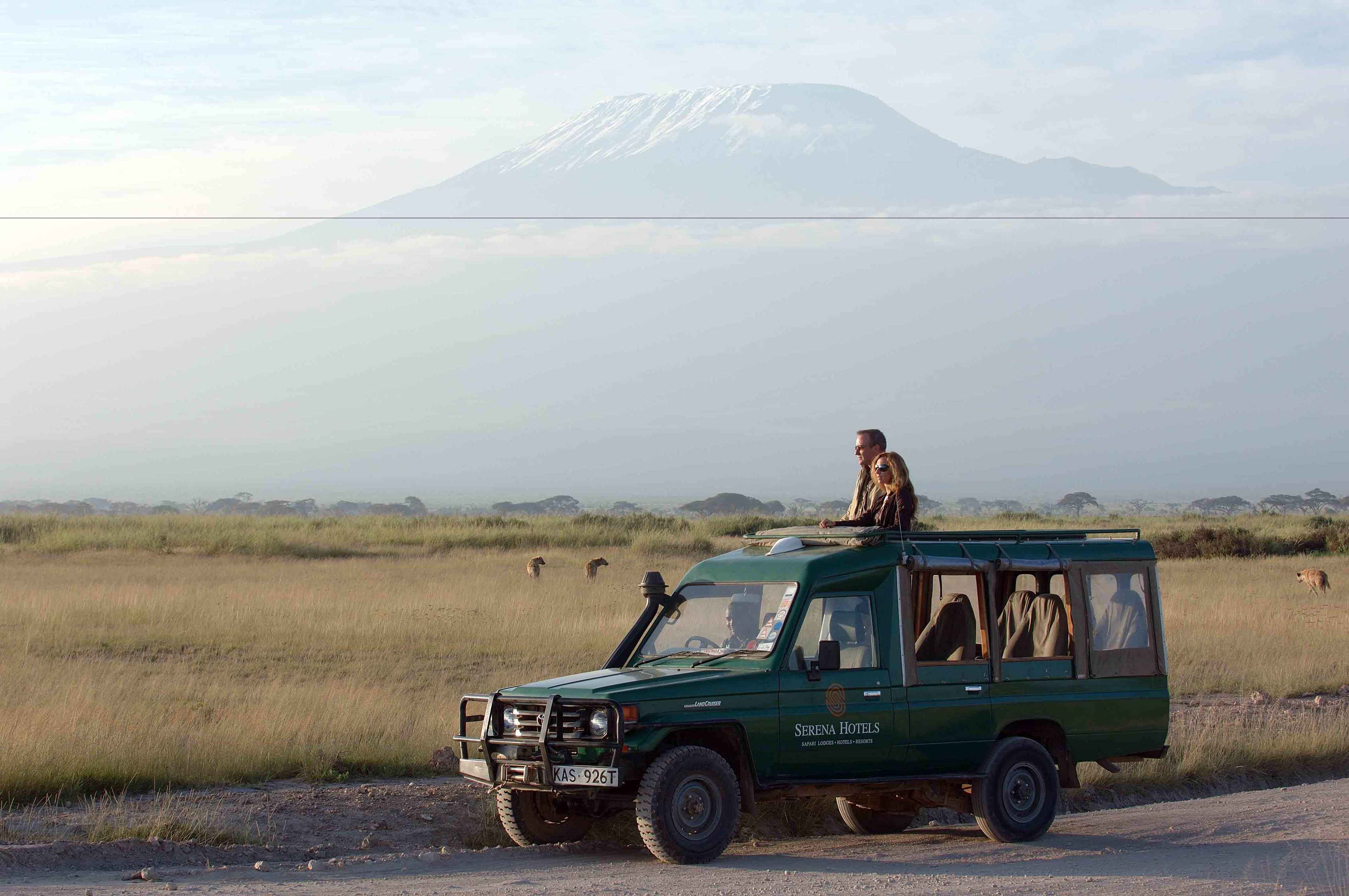 Safari