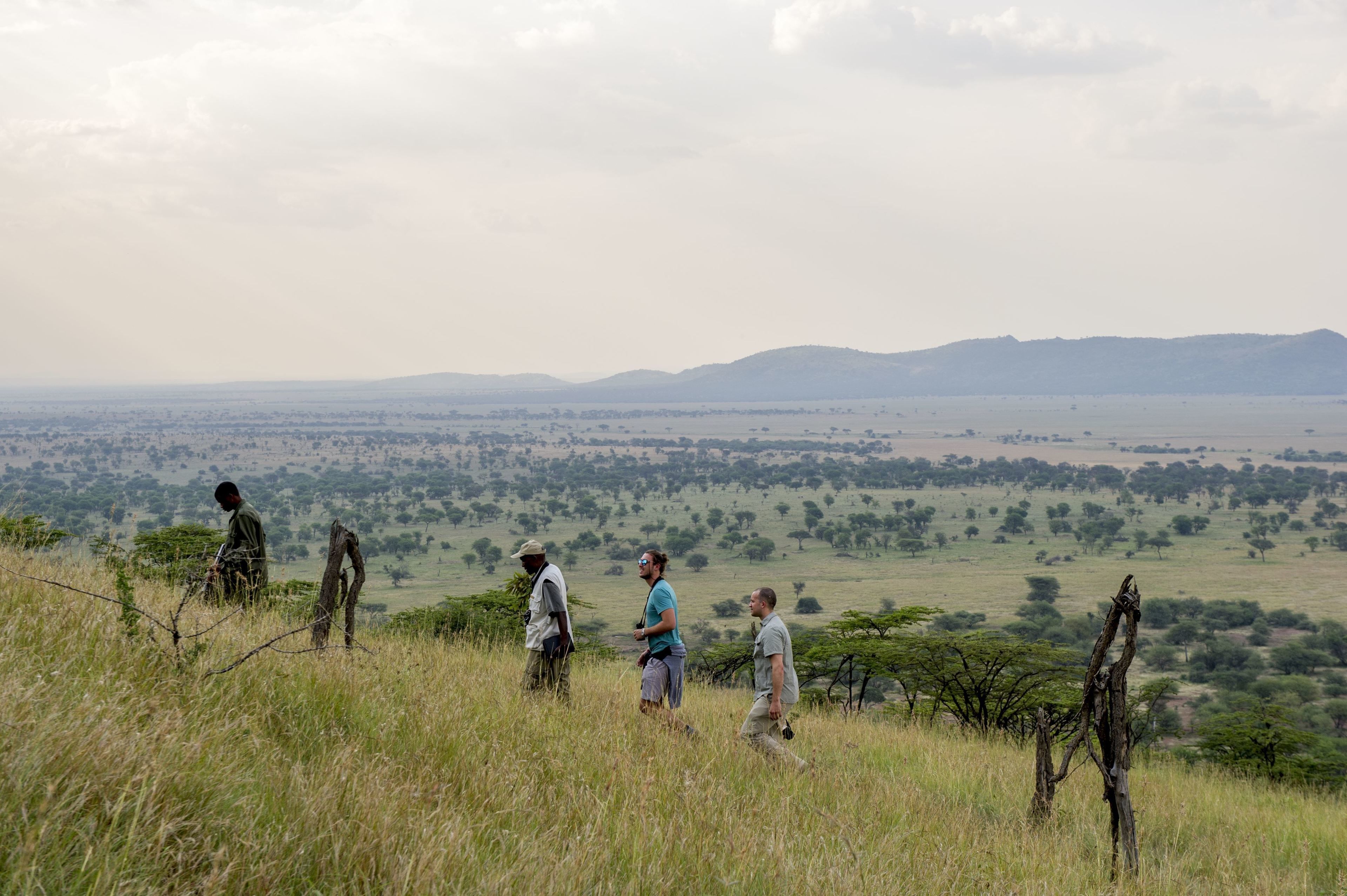 Un groupe de personnes se promène sur une colline herbeuse, avec un vaste paysage en arrière-plan.