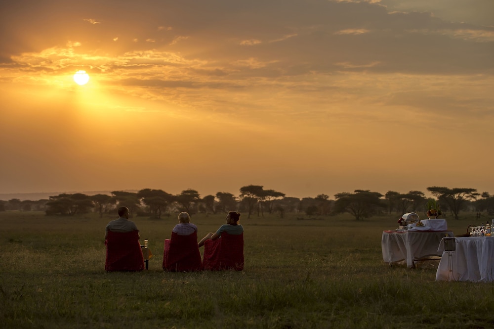 Serengeti Serena Safari Lodge by null