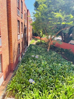 Un bâtiment en briques doté d’un espace jardin agrémenté de plantes vertes et d’un arbre.