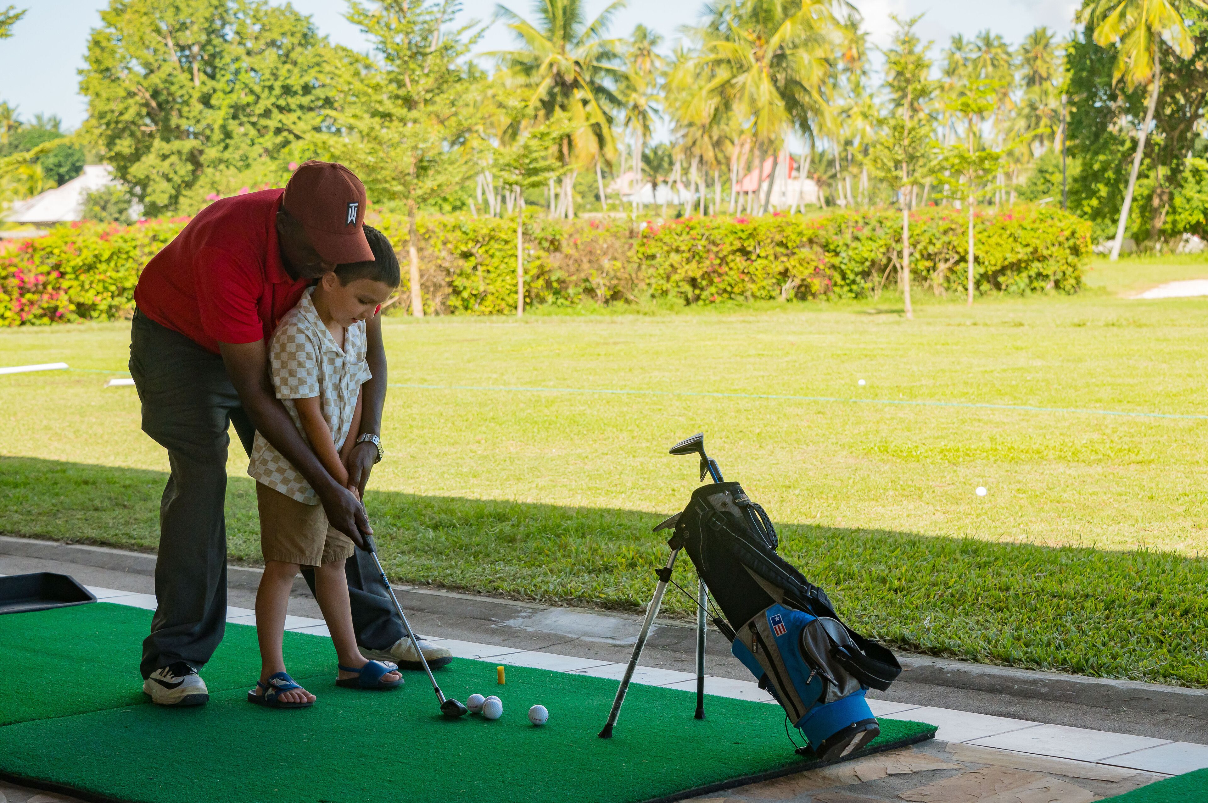 A golf course with a putting green, a golf bag, and a golf club.