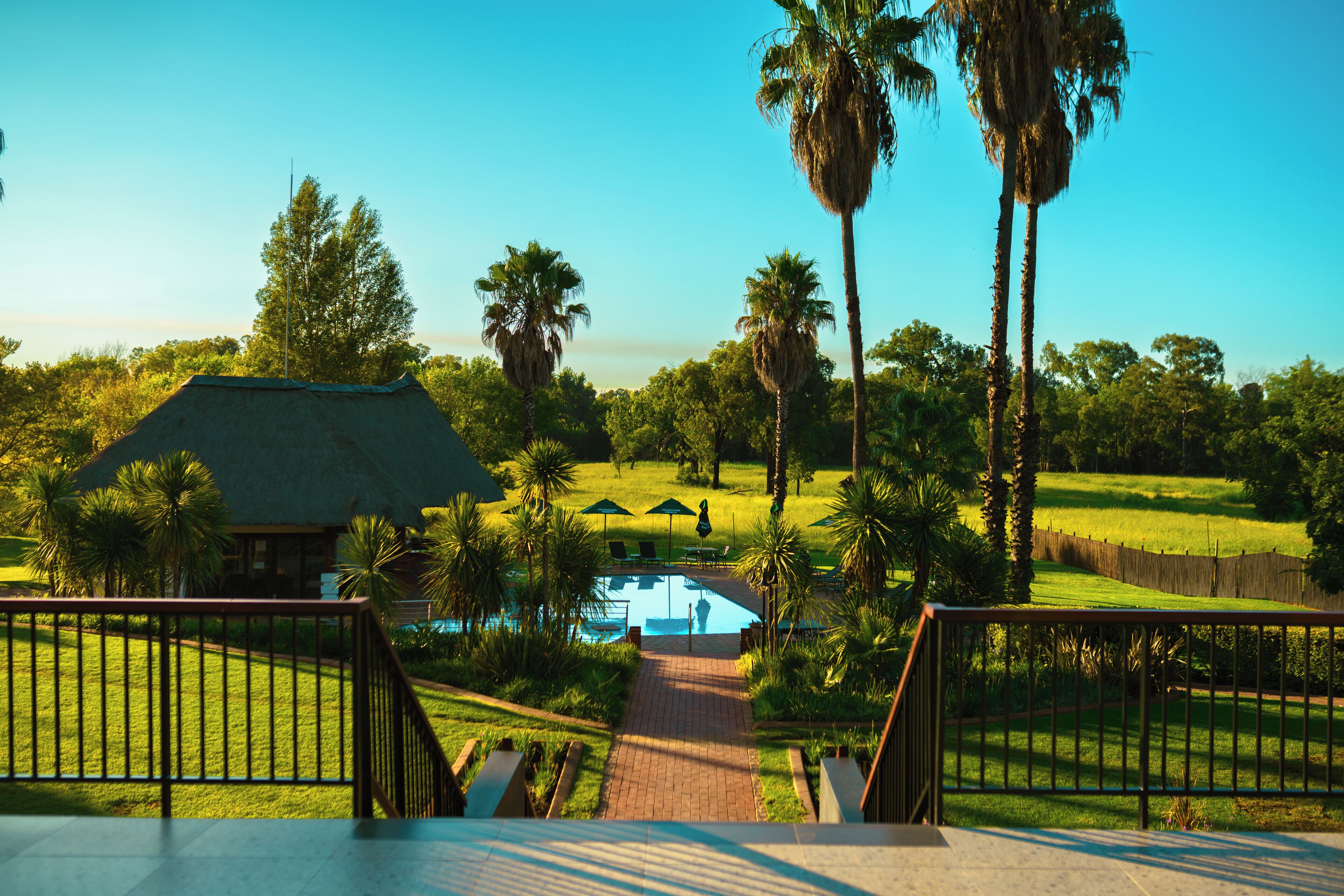 Kolam renang outdoor, dengan payung kolam renang dan kursi berjemur