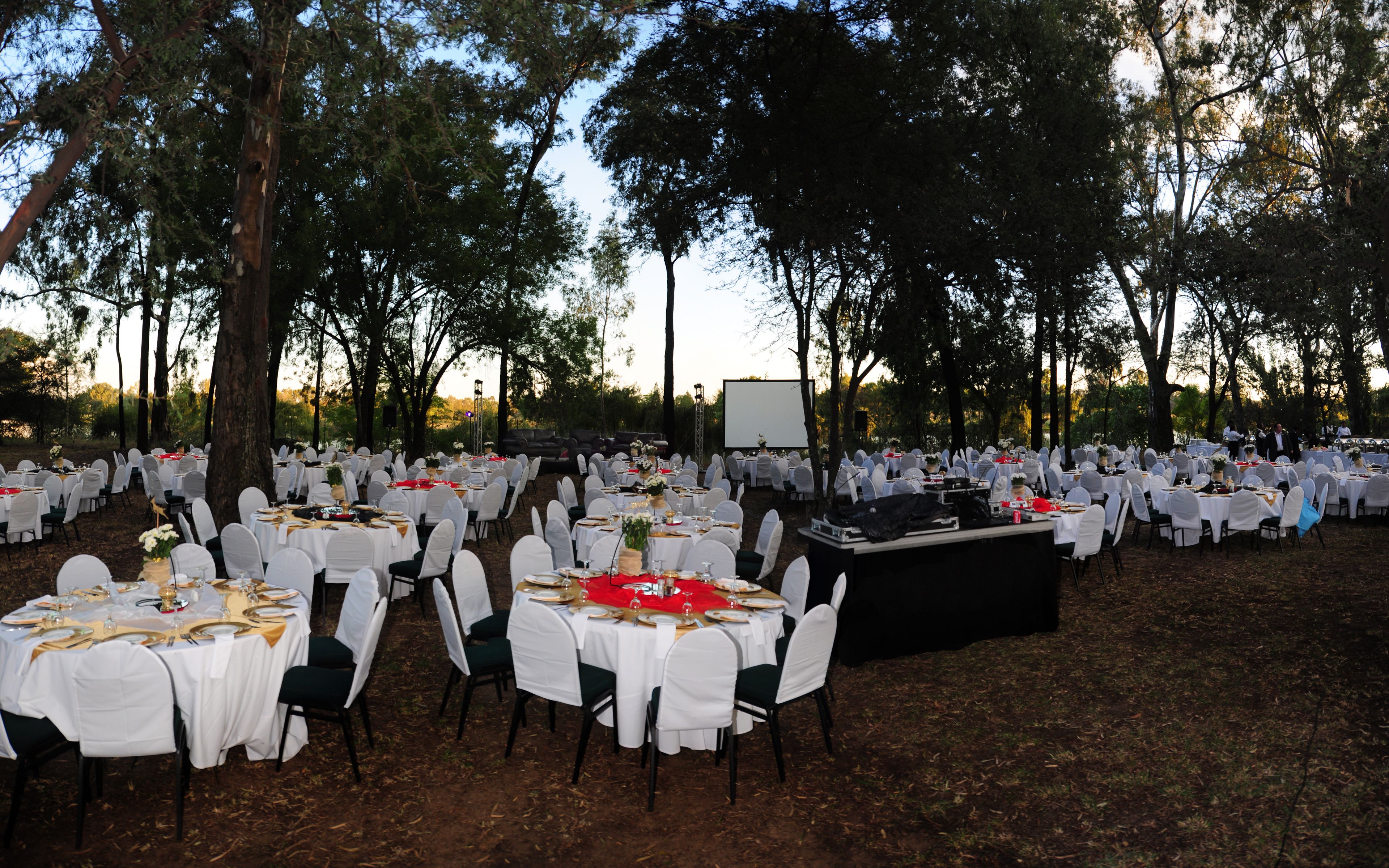 An outdoor event space with round tables set up for dining, surrounded by trees.