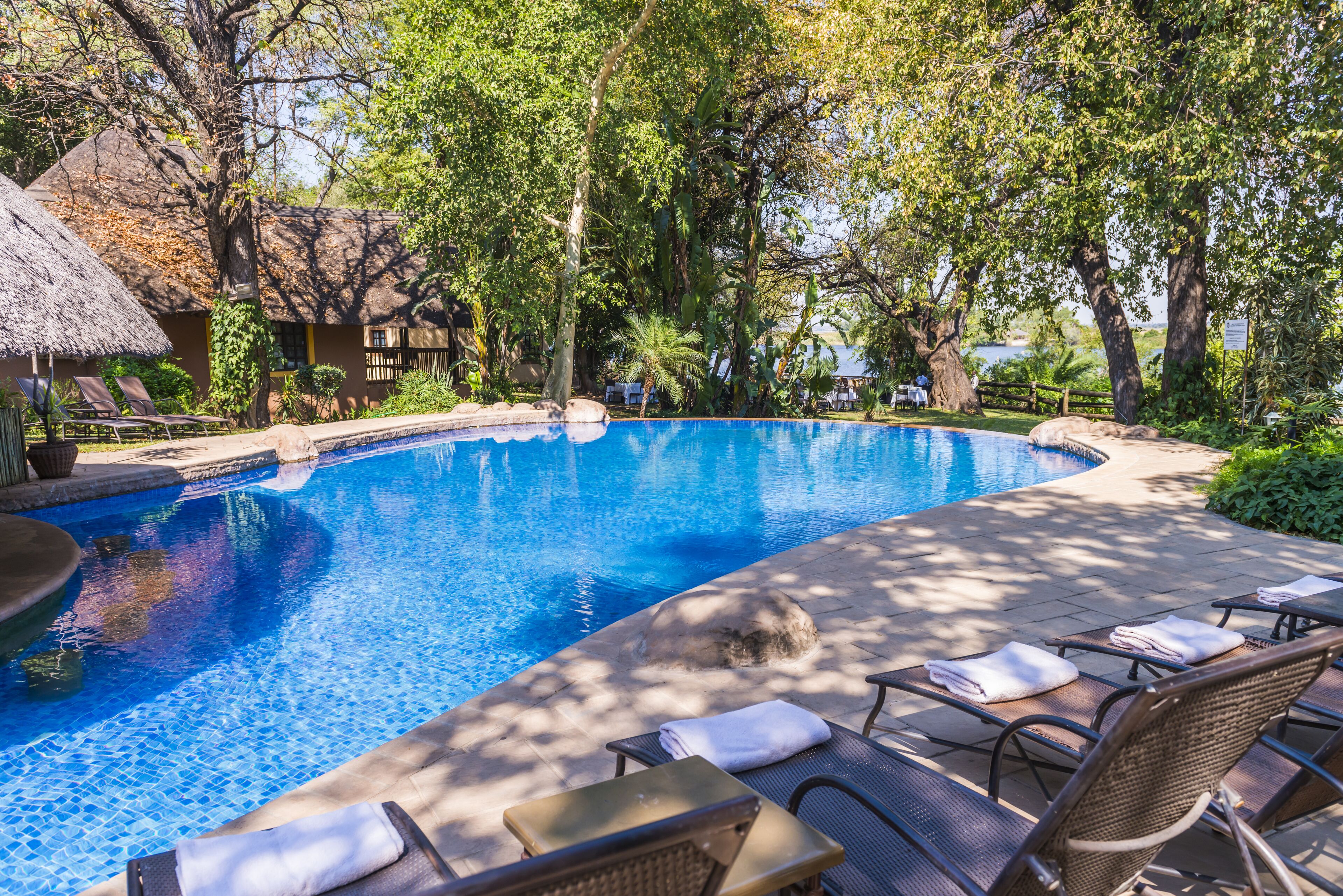 Outdoor pool, pool umbrellas, pool loungers