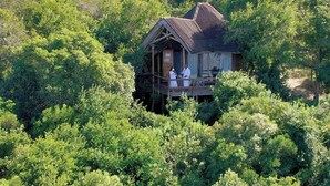 Une cabane en bois dotée d’un balcon, entourée d’une végétation luxuriante.