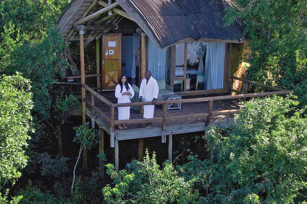 Une cabane en bois dotée d’un balcon, entourée d’une végétation luxuriante.