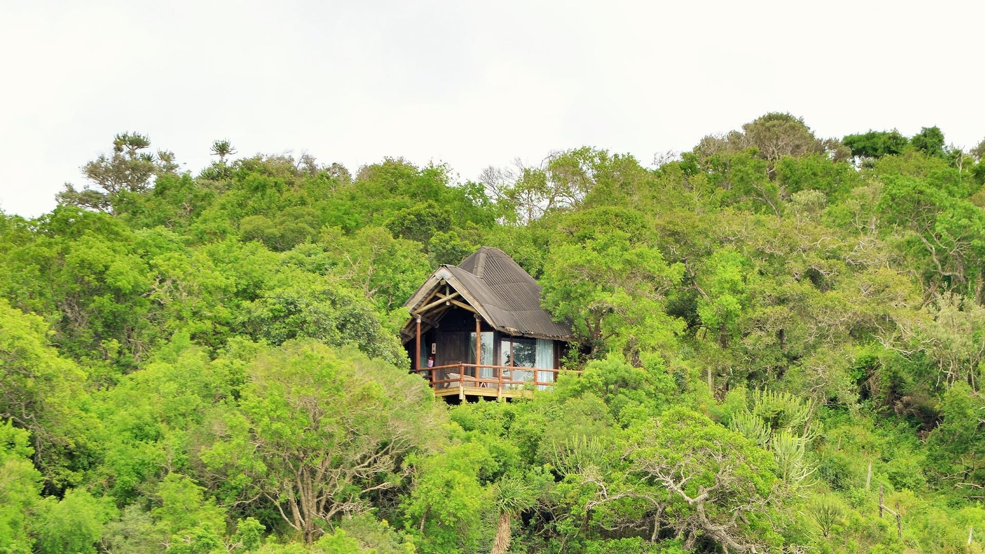 A wooden cabin with a sloped roof, surrounded by dense green foliage.
