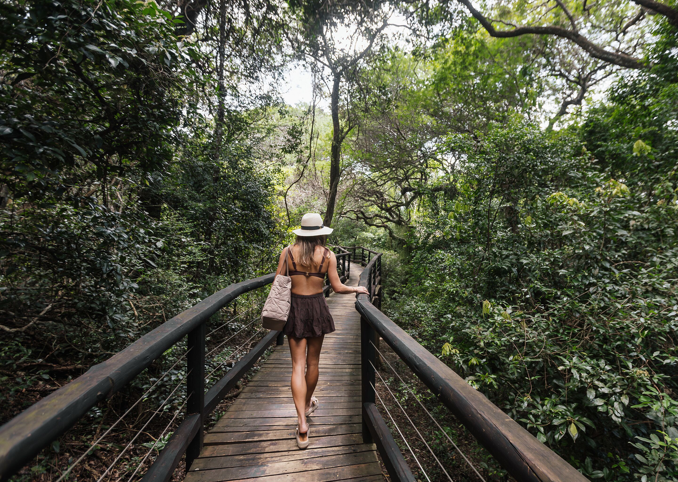 Un puente de madera rodeado de abundante vegetación.