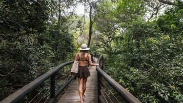 Un puente de madera rodeado de abundante vegetación.