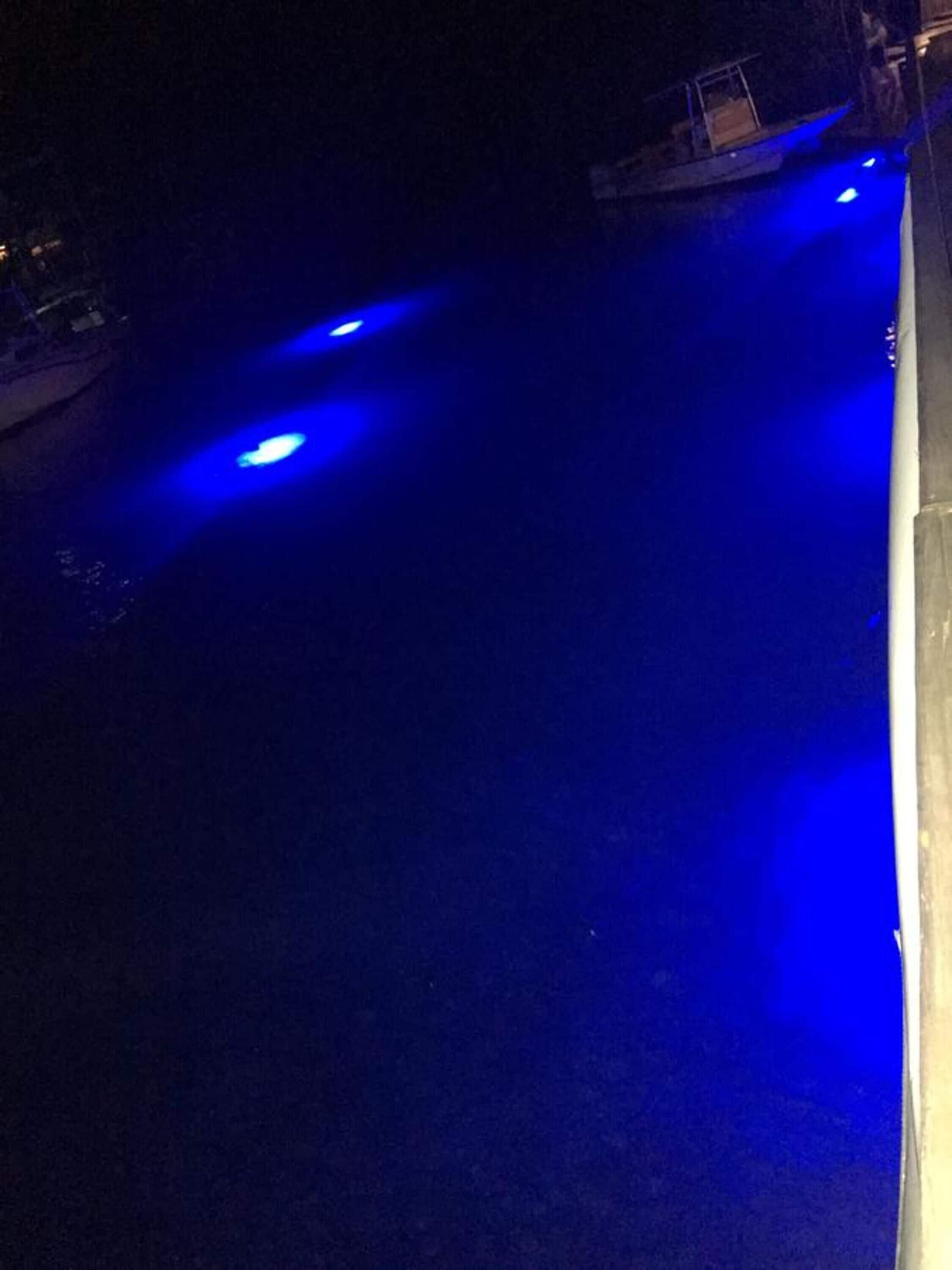 A nighttime view of a swimming pool with blue lighting.