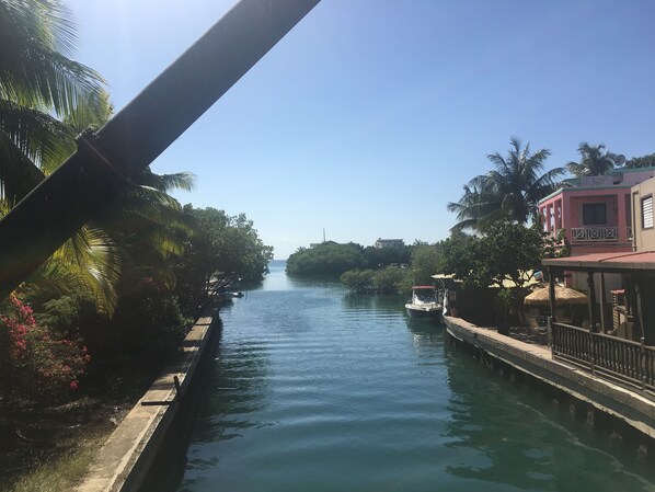 Un canal con un bote amarrado a la derecha, rodeado de follaje y un edificio de techo rojo.