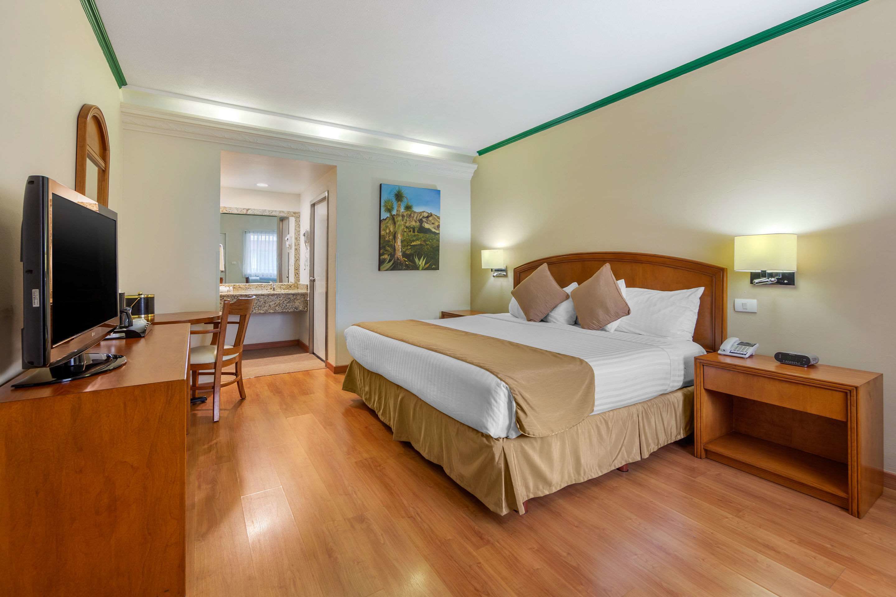 Sábanas de algodón egipcio, ropa de cama de alta calidad y edredón 