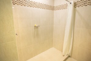 Ducha, secador de pelo y toallas