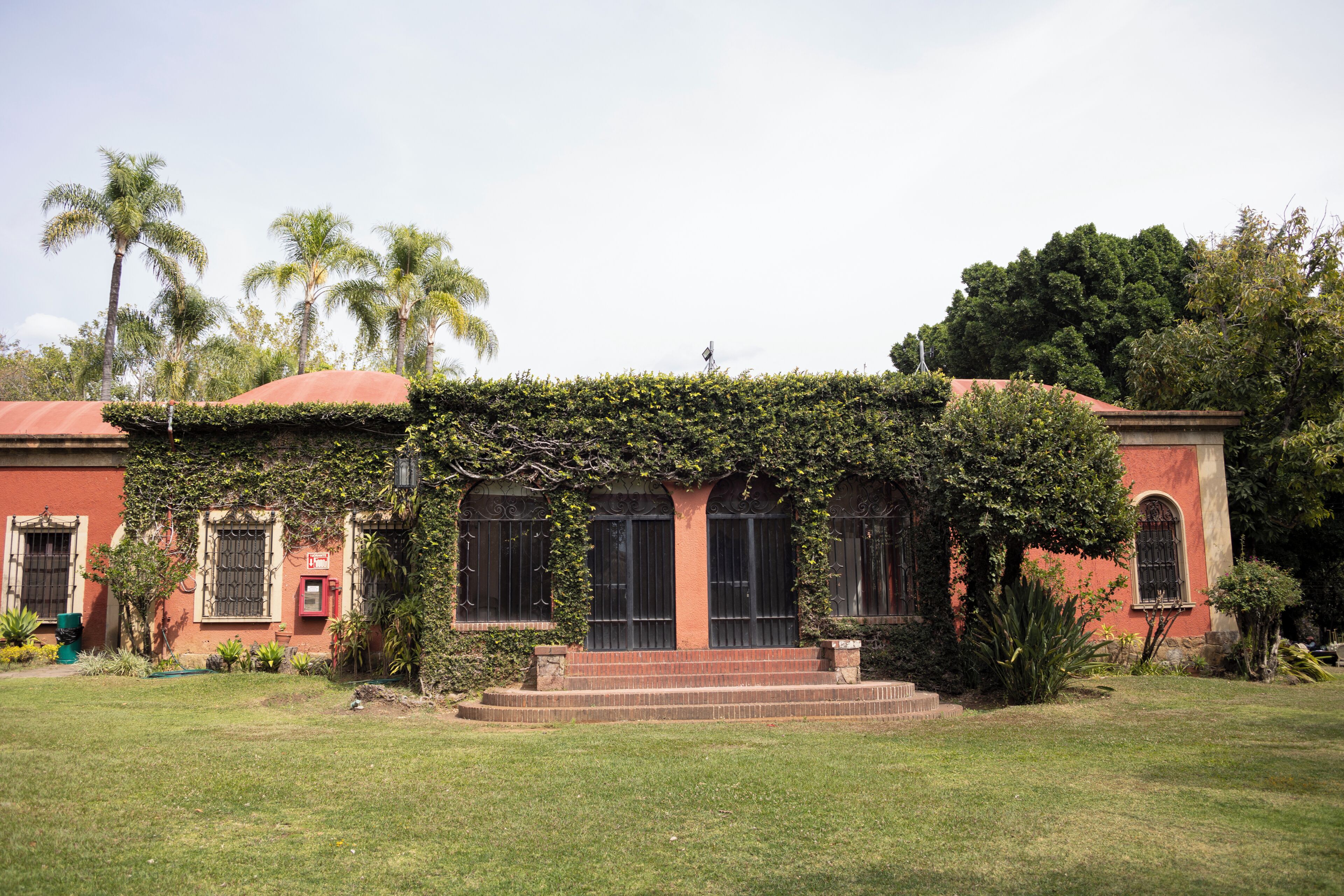 Un edificio con fachada roja, ventanas grandes y un jardín delantero con palmeras.