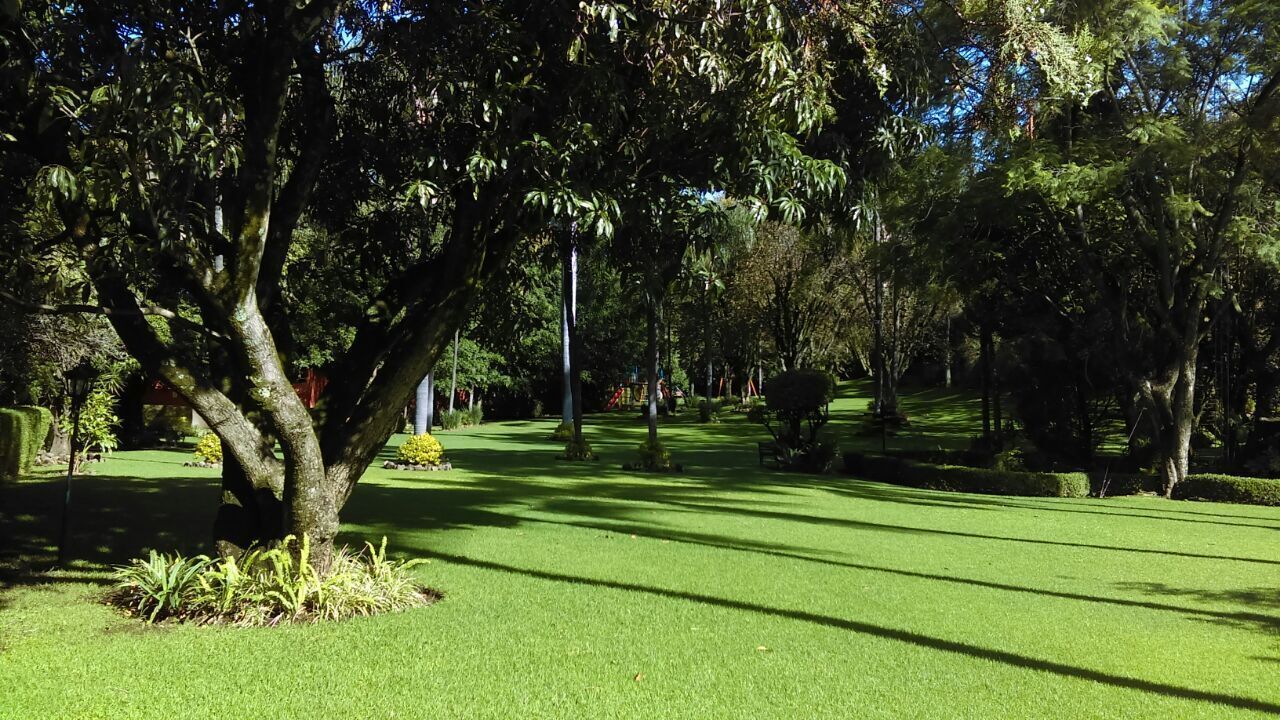 Un parque bien cuidado con césped impecable, árboles y un cielo despejado.