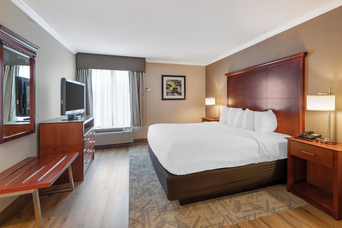 A hotel room with a large bed, a desk with a flat-screen TV, a bedside table with a lamp, and a large window with curtains.