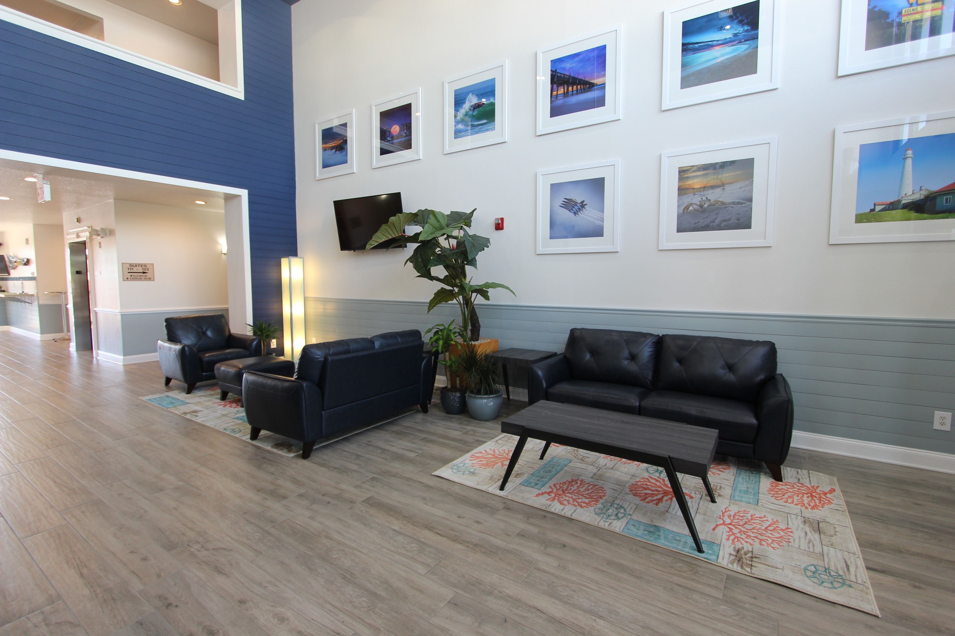 A modern lobby with a blue accent wall, a flat-screen TV, a large potted plant, and a seating area with a coffee table and sofas.