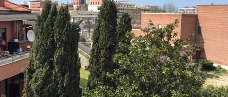 A courtyard with tall cypress trees and a brick building.