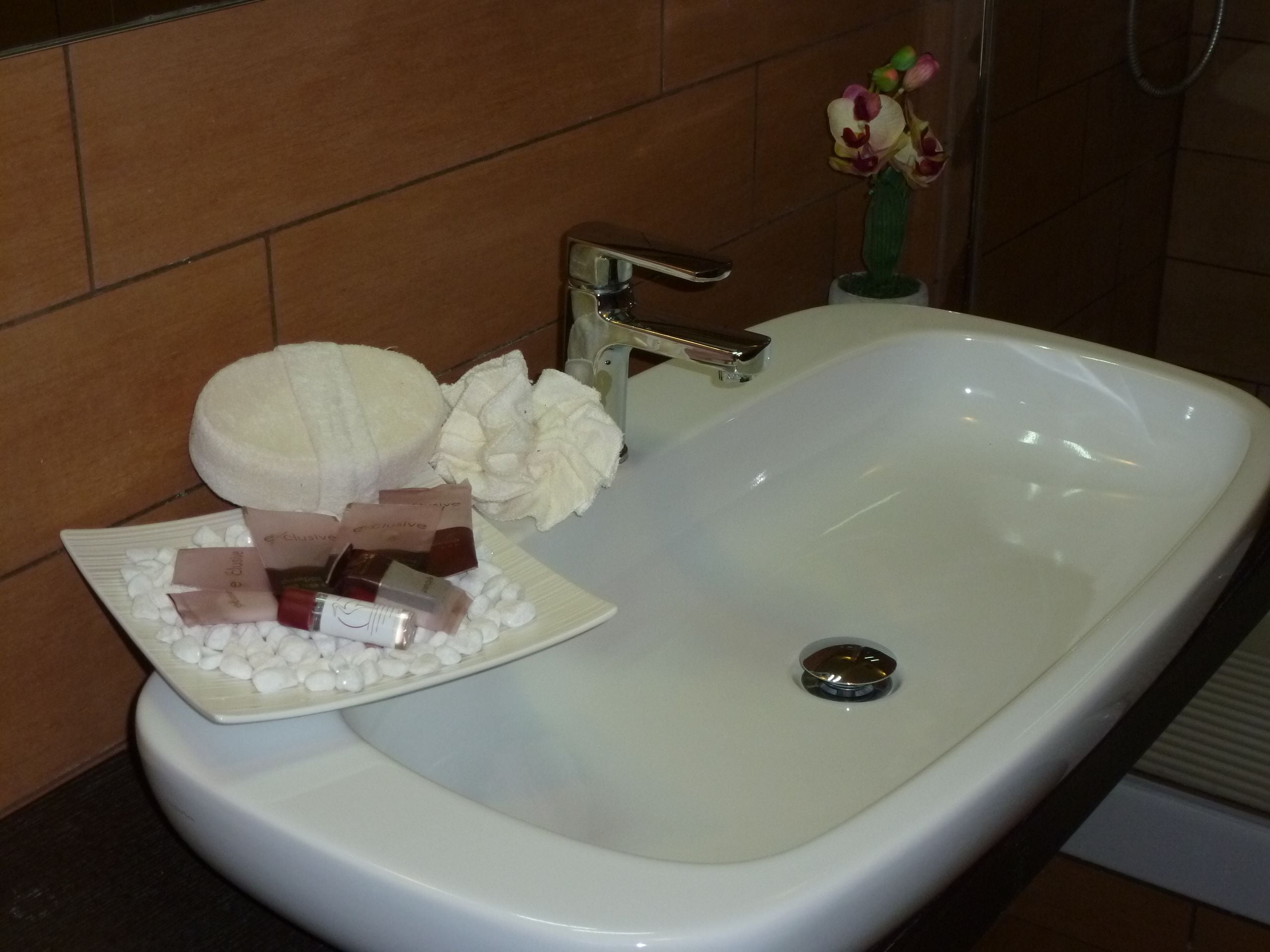 hair dryer, bidet, towels