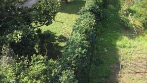A courtyard with a lawn, trees, and a building in the background. - E H SUITES ROME AIRPORT (Fiumicino)