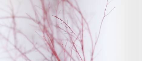 A branch with a blurred background.