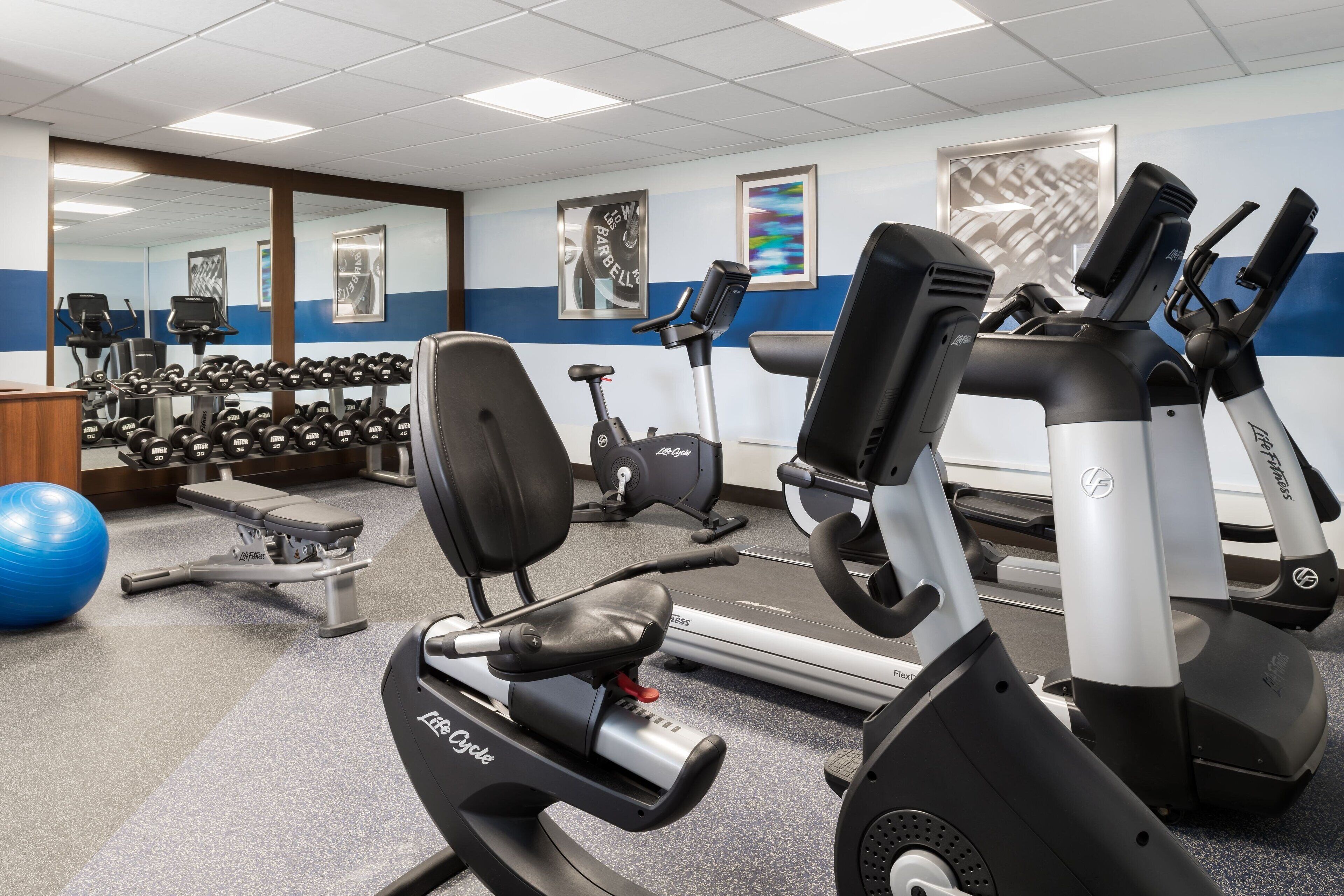 Et fitnessrum med træningsudstyr, håndvægte og en blå træningsbold.