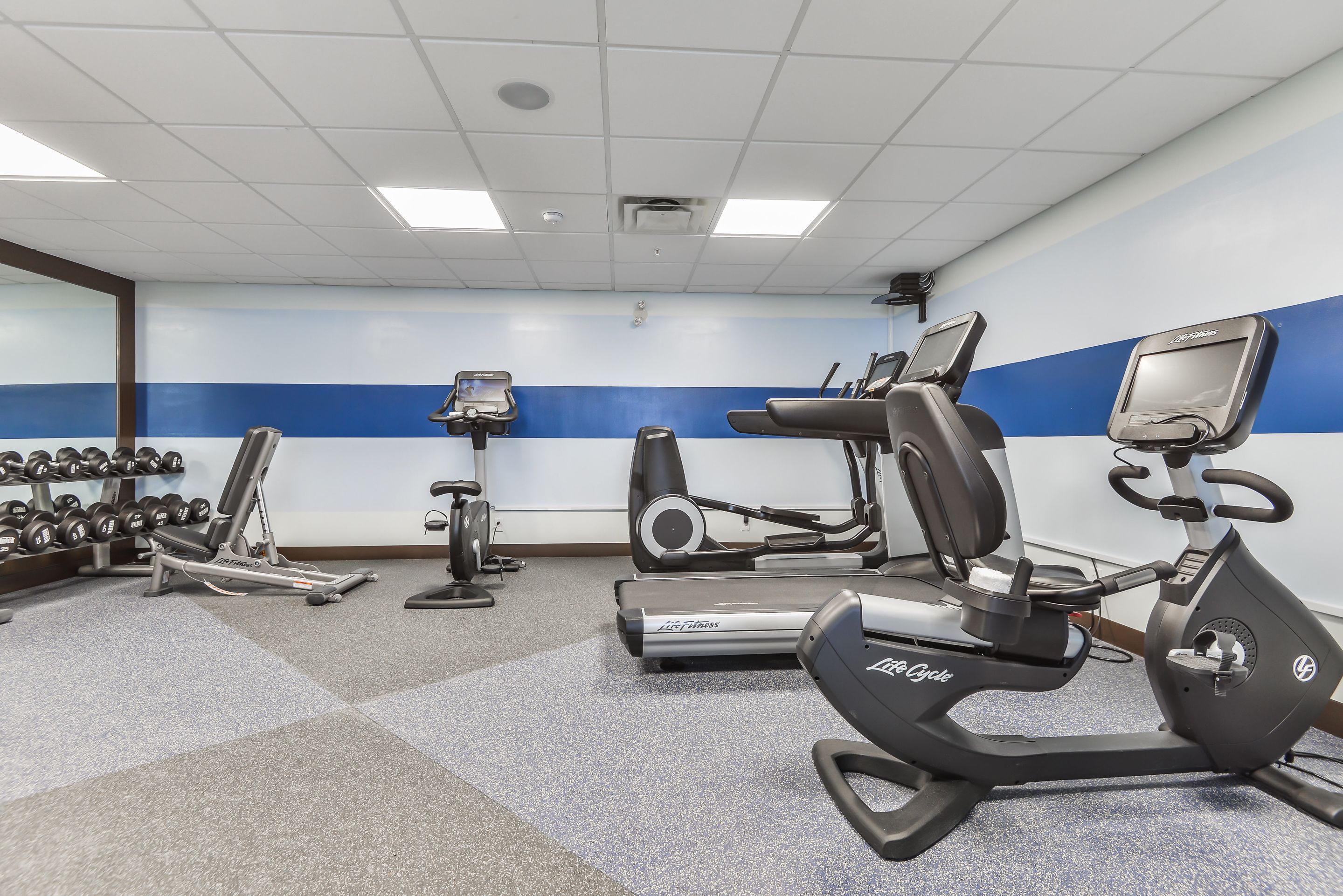 A gym with treadmills, elliptical machines, and a rack of dumbbells.