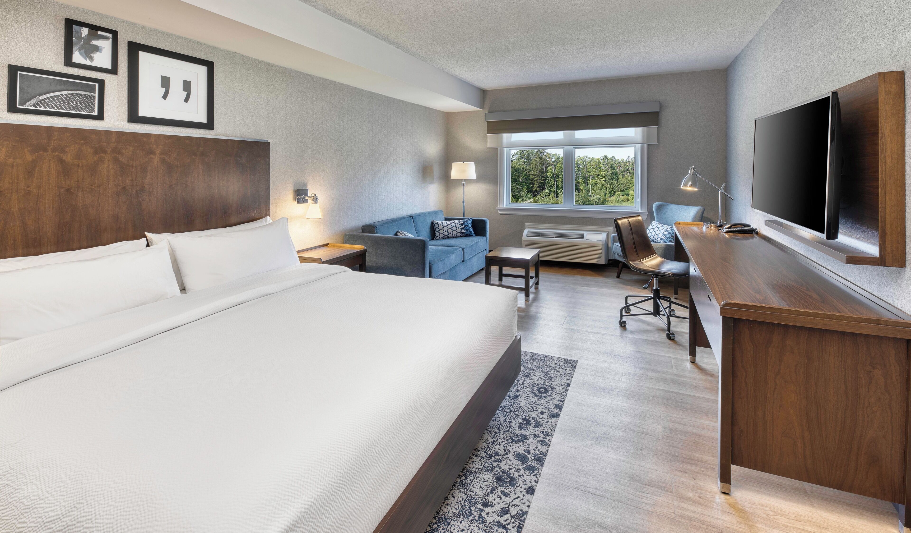 Room, 1 King Bed | Hypo-allergenic bedding, down comforters, in-room safe, desk