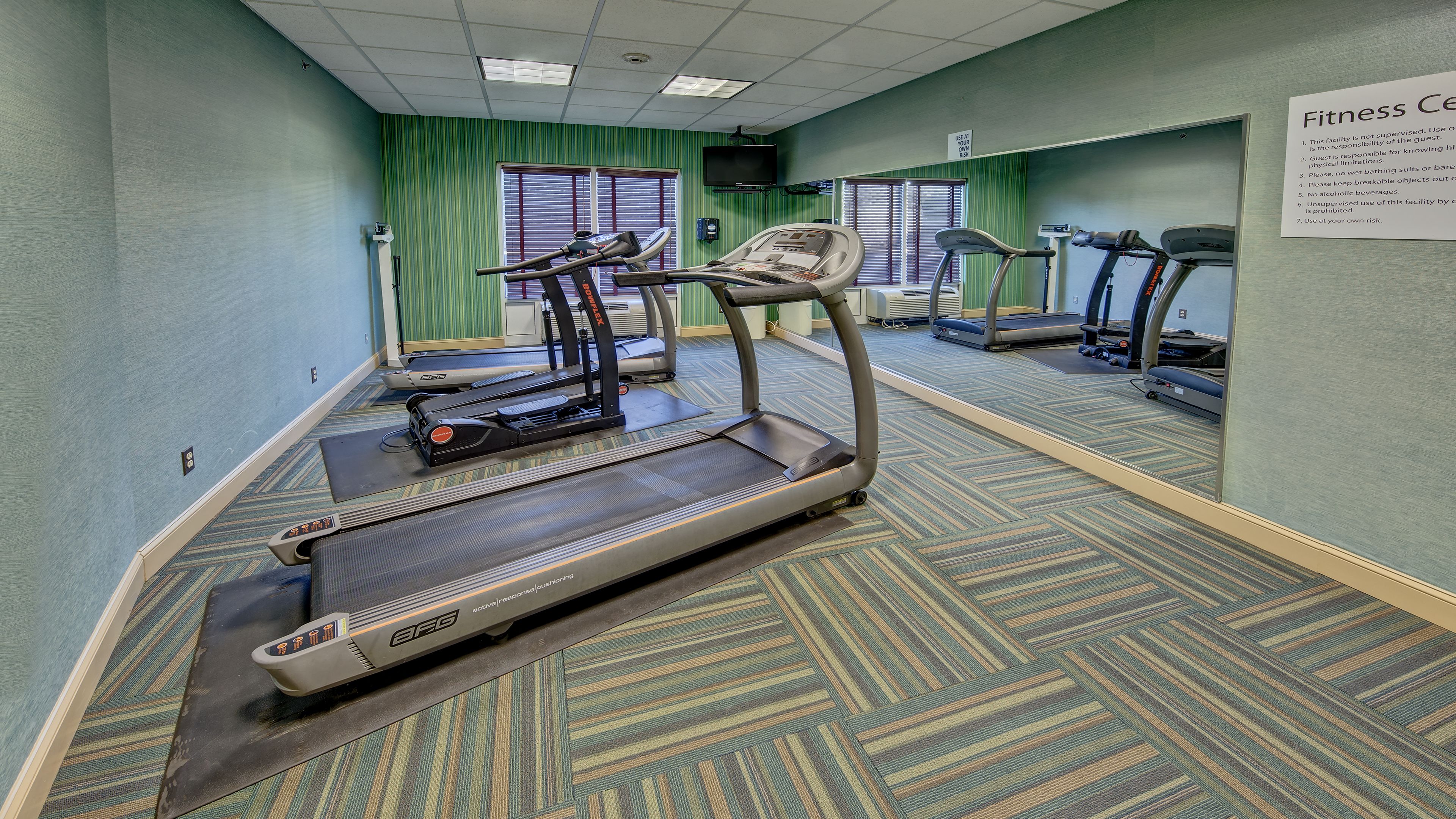 standard room, 1 king bed, accessible (mobil roll shower) | fitness facility