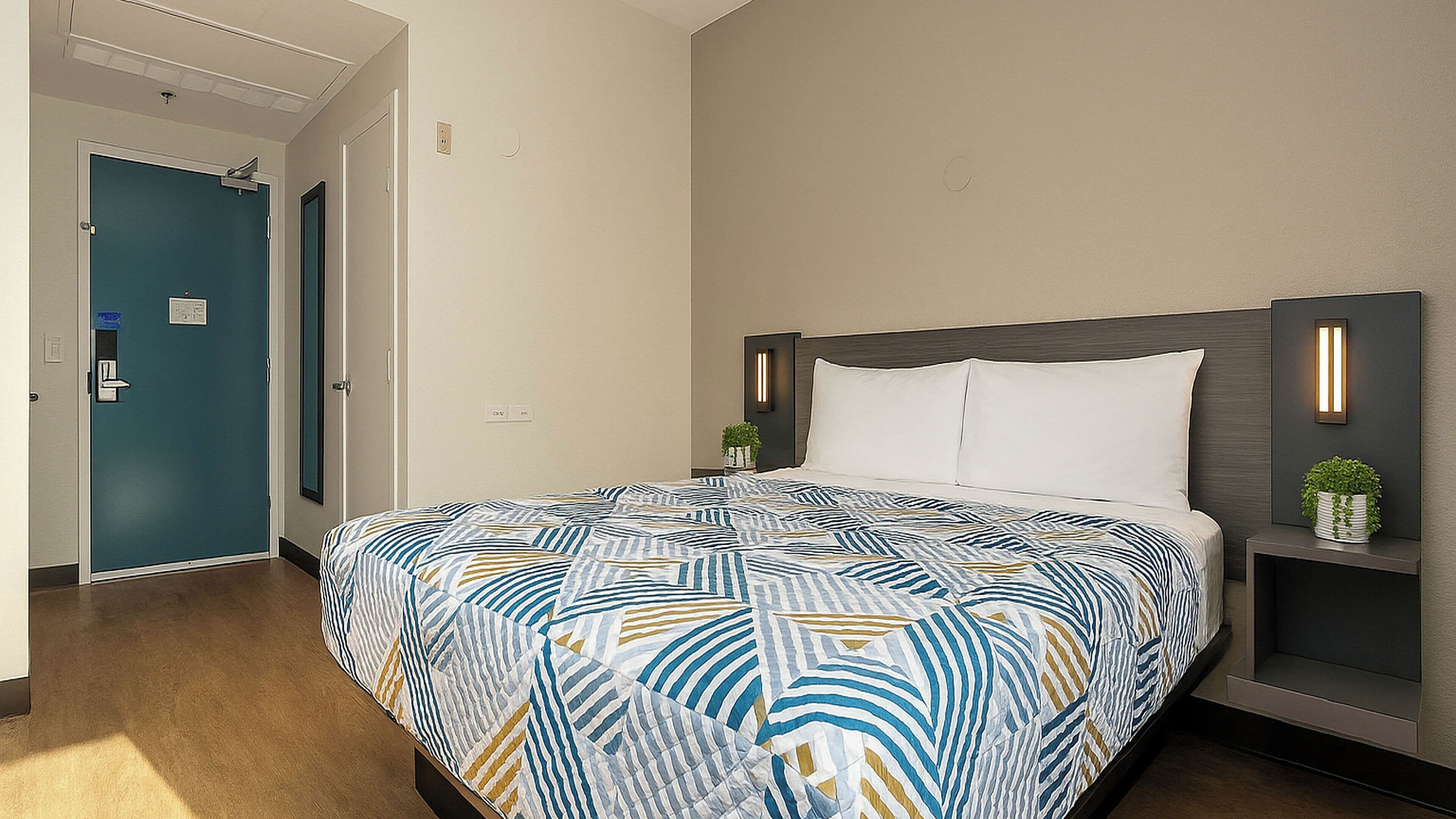 Una habitación de hotel con una cama grande, una mesita de noche con una planta y una puerta con marco azul.