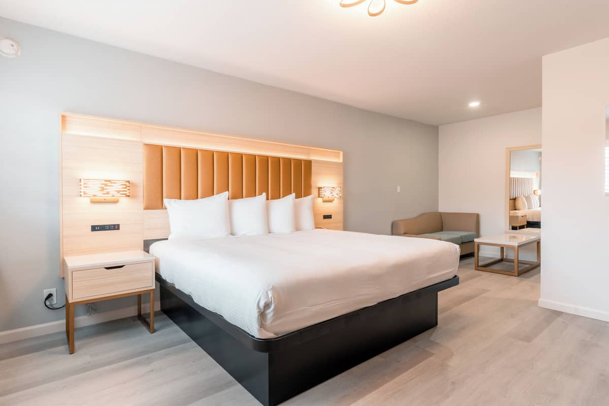 Superior Single Room, 1 King Bed | 1 bedroom, in-room safe, iron/ironing board, free WiFi