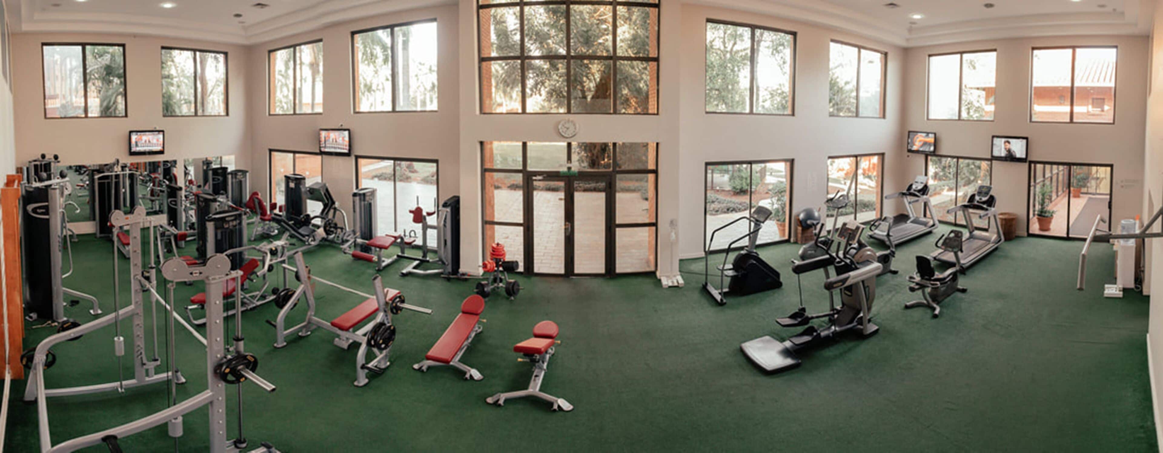 Un gimnasio amplio con diversos equipos de ejercicio, ventanas grandes y piso cubierto de moqueta verde.